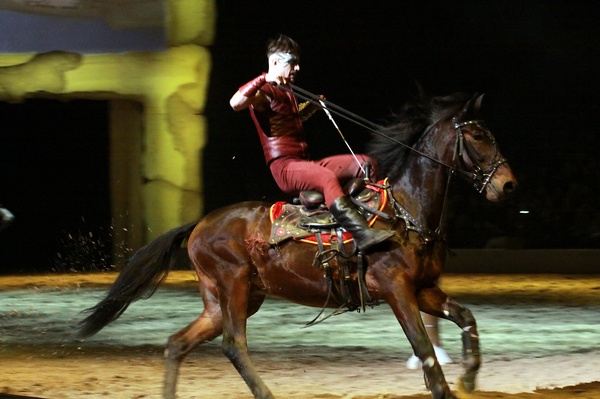 Apassionata  2010   095.jpg